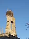 IMG_2466