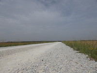 IMG_2520