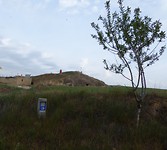 IMG_2523