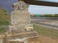 IMG_2533