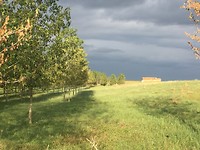 IMG_2548