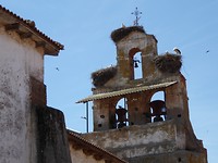 IMG_2569