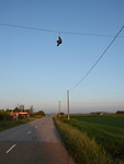 IMG_2572