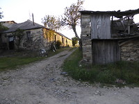 IMG_2604