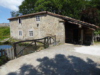 IMG_2719