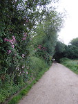 IMG_2741