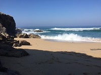 IMG_2822
