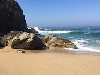 IMG_2823