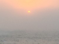 IMG_2850