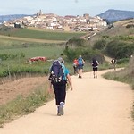 IMG_2998