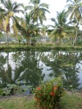 Backwaters
