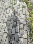 1000065795