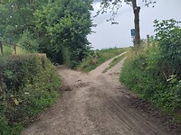 1000066037