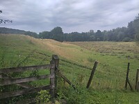 1000066227