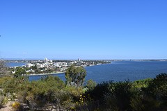 DSC_1000
