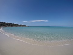IMG_5754