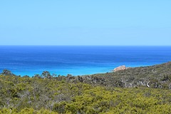 DSC_1190