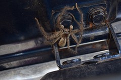 DSC_1719