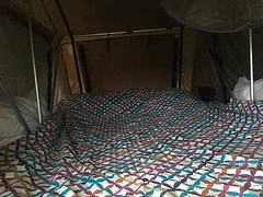 IMG_8458