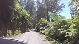 Rainforest drive