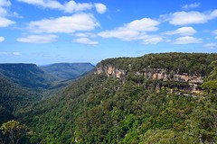 IMG_0602