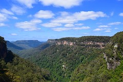 IMG_0621