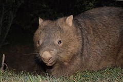 IMG_0622