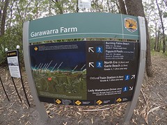 IMG_0772