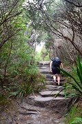 IMG_0779