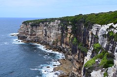 IMG_1020