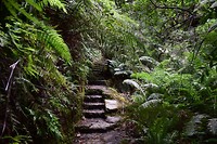IMG_9192
