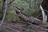 IMG_9173