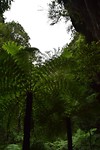 IMG_9127