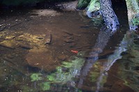 IMG_9117