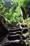 IMG_9074