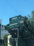 IMG_1168