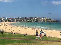 IMG_1169