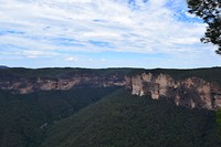 IMG_1501
