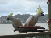 IMG_1683