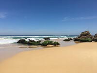 IMG_1751