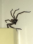 IMG_1846