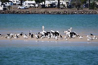 IMG_1897