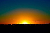 IMG_1920