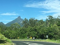 IMG_1990