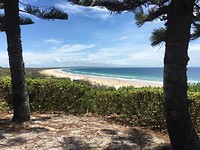 IMG_2009