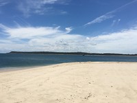IMG_2017