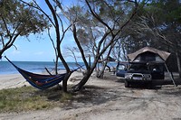IMG_2546