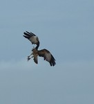 IMG_2678