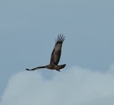 IMG_2680