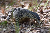 IMG_2697